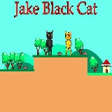 Jake Black Cat