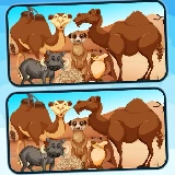 Spot 5 Differences Deserts